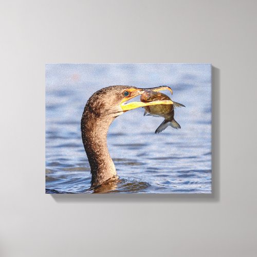 Cormorant with a fish canvas print