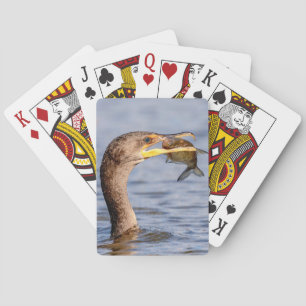Cormorant with a fish poker cards
