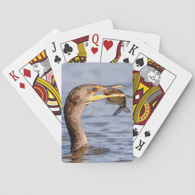 Cormorant with a fish poker cards (Back)
