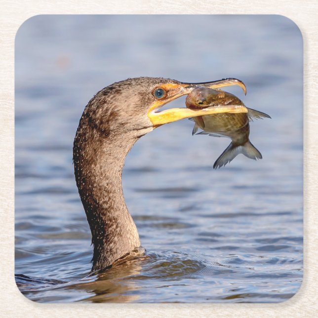 Cormorant with a fish square paper coaster (Front)