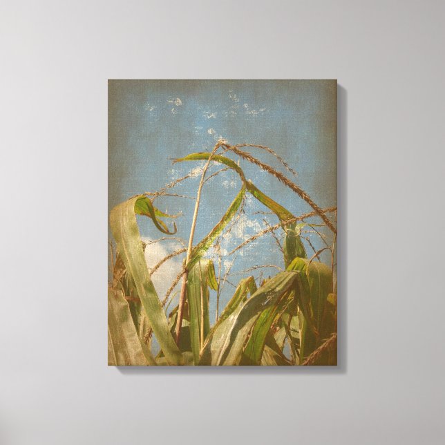 Corn Canvas Print (Front)