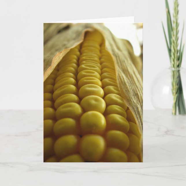 Corn close up Greetingcard Card (Front)