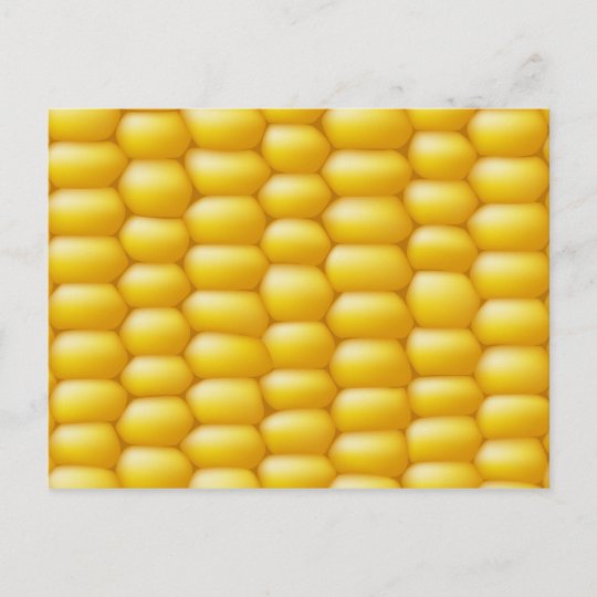 Corn Cob Background Postcard | Zazzle.com