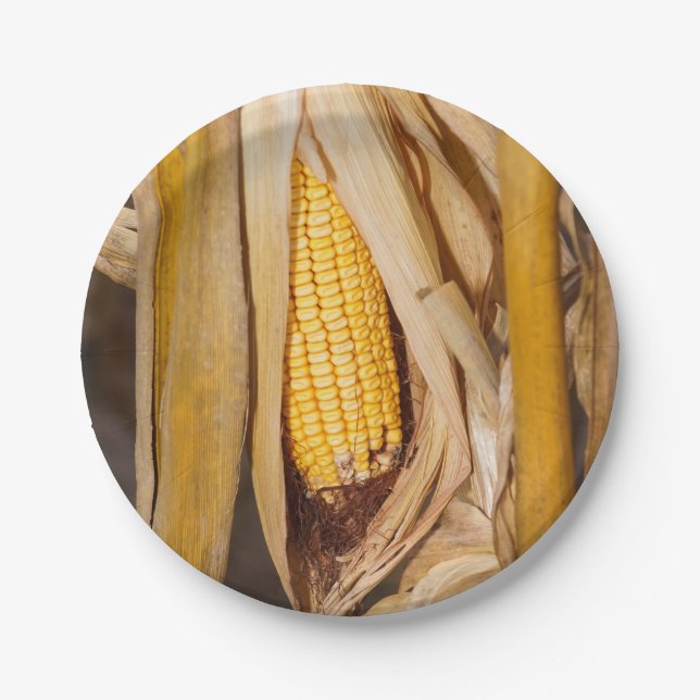 Corn Cobb On Stalk Paper Plates (Front)