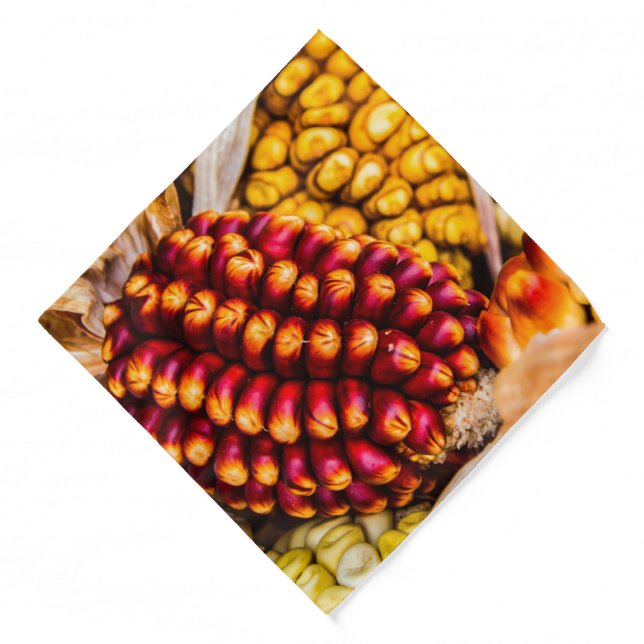 Corn cobs bandana (Front)
