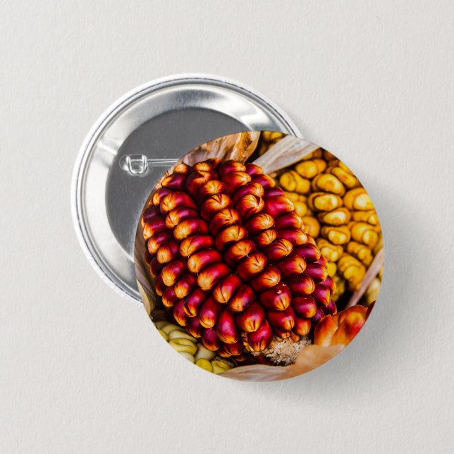 Corn cobs button (Front & Back)