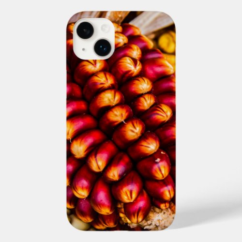 Corn cobs Case_Mate iPhone 14 plus case