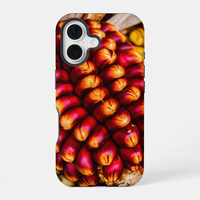 Corn cobs iphone case (Back)