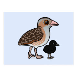 Corn Crake with baby Postcard