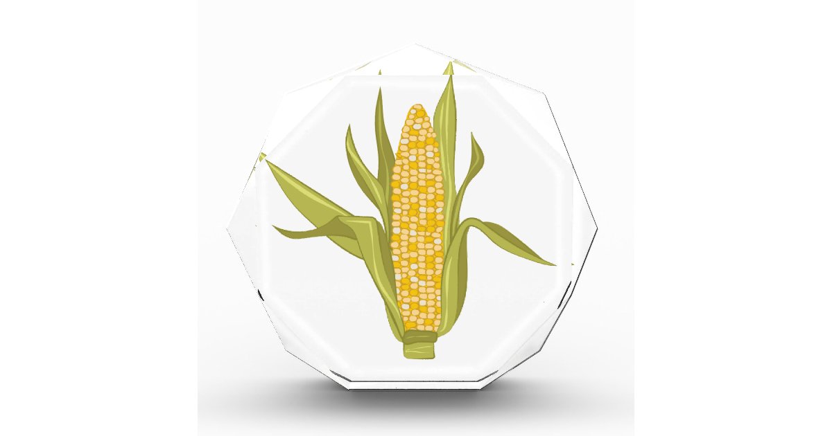 Corn Ear Award Zazzle