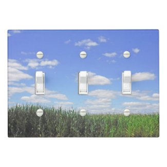 CORN FIELD, BLUE SKY, WHITE BILLOWY CLOUDS
