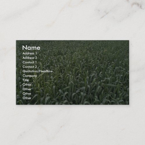 Corn field business card template