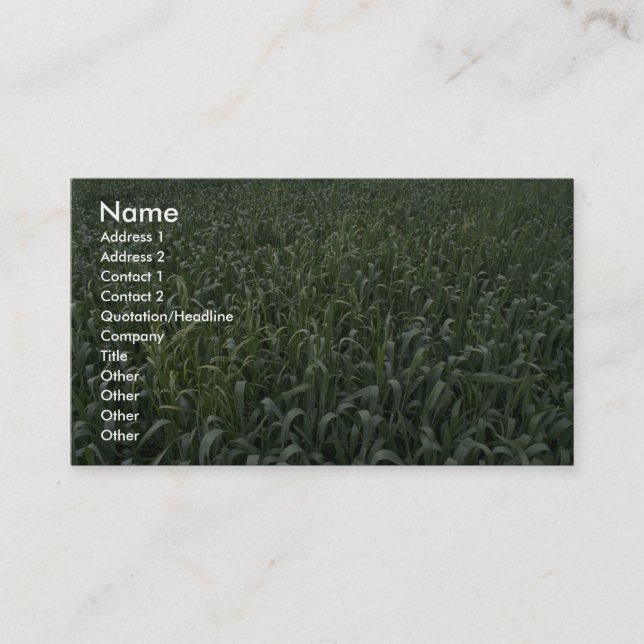 Corn field business card (Front)