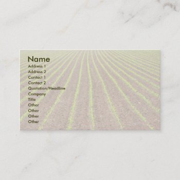 Corn Field Business Card by gavila_pt at Zazzle