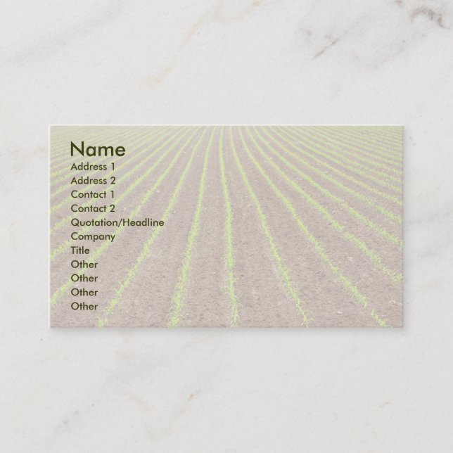 Corn field business card (Front)