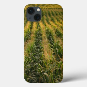 Corn Field Iphone 13 Case by gavila_pt at Zazzle