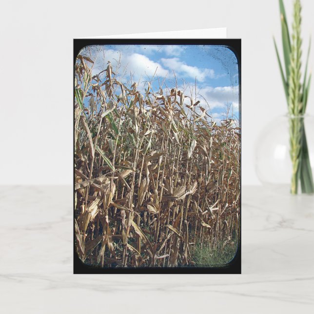 Corn Field TTV Card (Front)