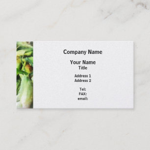 Corn For Sale Business Card