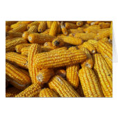 Corn Harvest Cards (Front Horizontal)