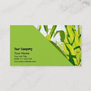 Corn Leaves Business Card by gavila_pt at Zazzle