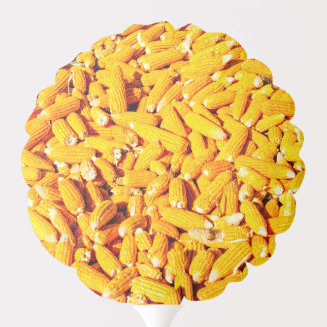 Corn on The Cob Balloon (Back)