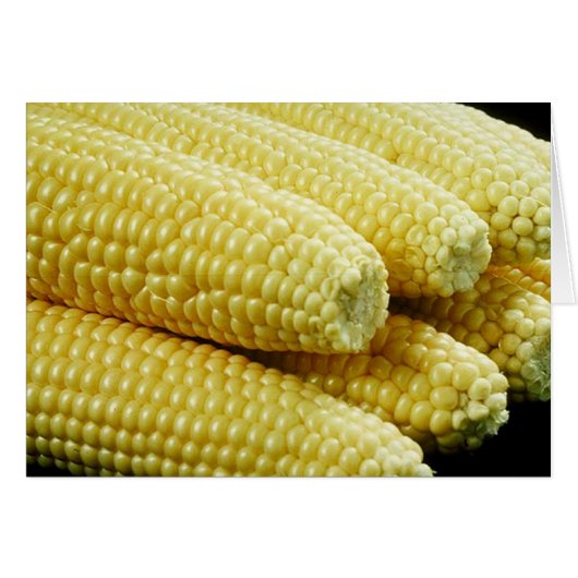 Corn on the Cob Cards (Front Horizontal)