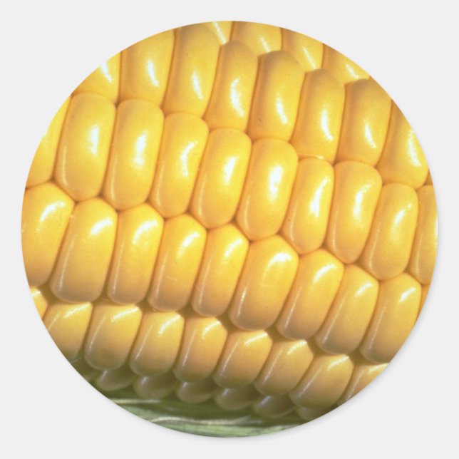 Corn on the cob classic round sticker (Front)