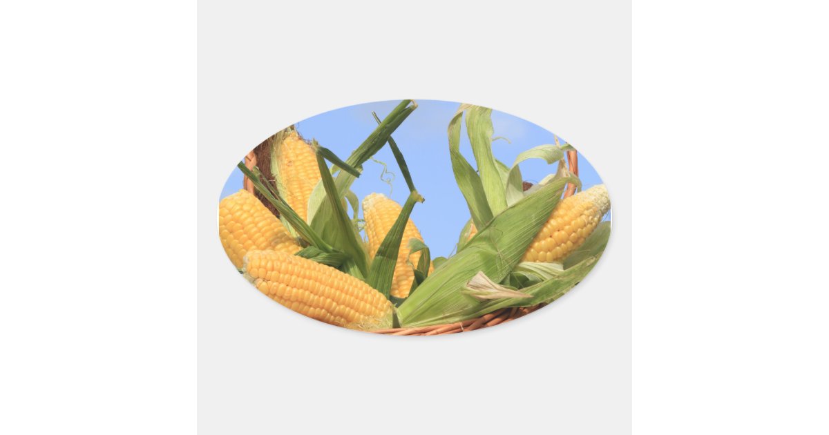 Corn Cob Sticker Corn on the Cob Sticker | Zazzle