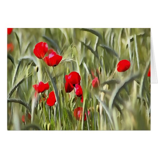 Corn Poppies Cards (Front Horizontal)