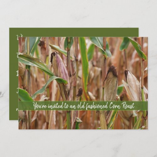 Corn Roast Field Of Corn Autumn Corncobs Invitation
