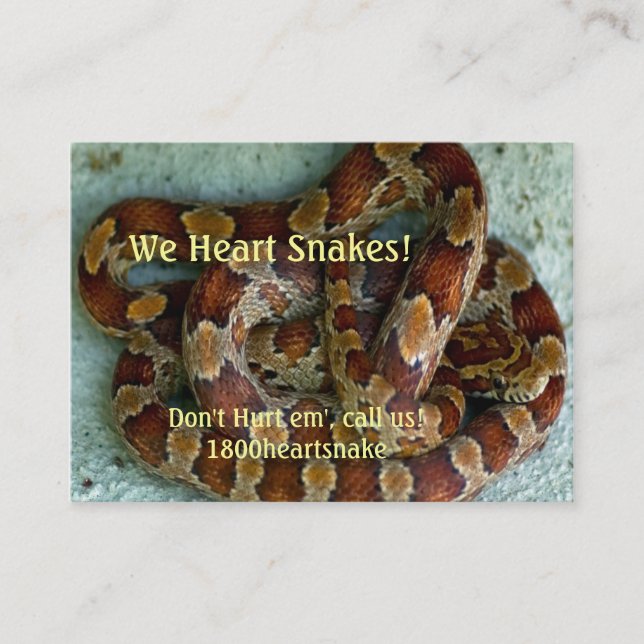 Corn Snake Business Card (Front)