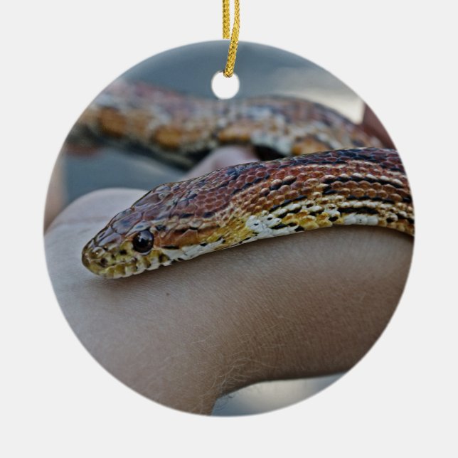 CORN SNAKE ORNAMENT (Front)