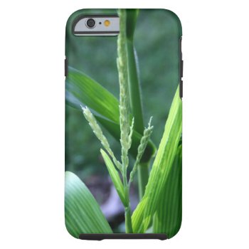 Corn Stalk Iphone Case by InnerEssenceArt at Zazzle