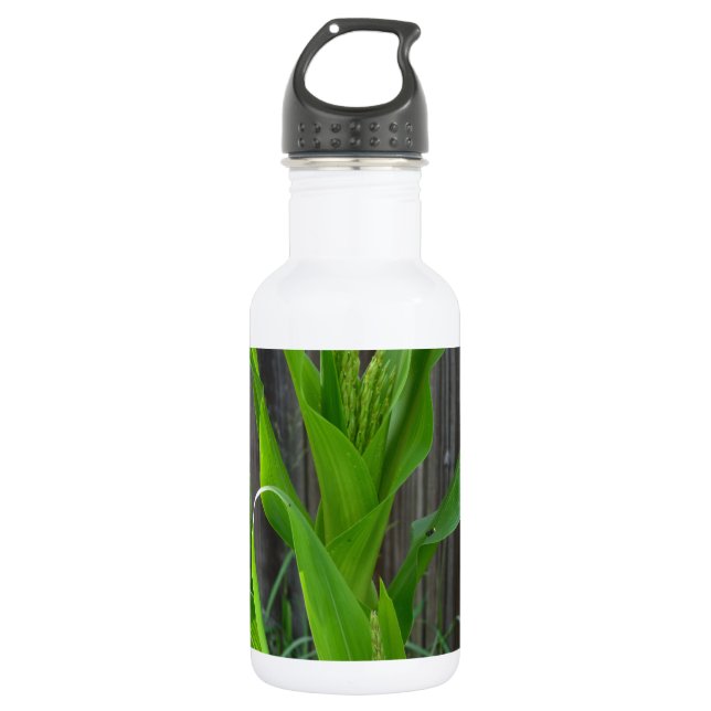 Corn Stalk Water Bottle (Front)