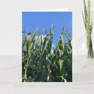 Corn Stalks Blank Letterpress Thank You Card