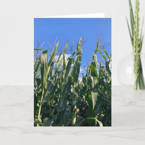 Corn Stalks Blank Thank You Card