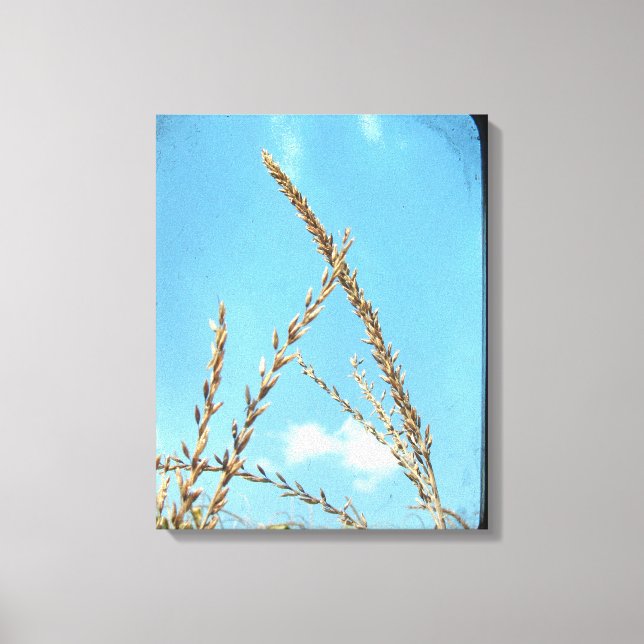 Corn Tassel Canvas Print (Front)