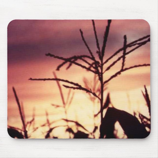 Corn Tassels at Sunset Mouse Pad (Front)