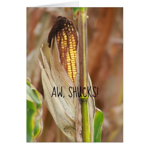 Corncob Aw Shucks Cob Humor Autumn Corn