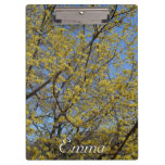 Cornelian Cherry Dogwood and Blue Sky Clipboard