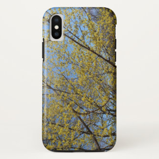 Cornelian Cherry Dogwood and Blue Sky Floral iPhone XS Case