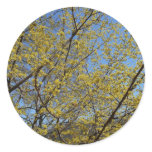 Cornelian Cherry Dogwood and Blue Sky Floral Classic Round Sticker