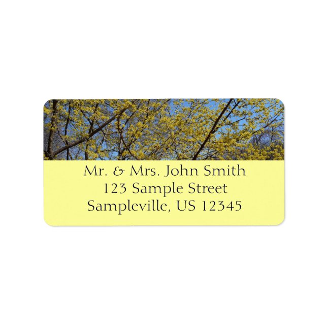 Cornelian Cherry Dogwood and Blue Sky Floral Label (Front)