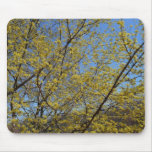 Cornelian Cherry Dogwood and Blue Sky Floral Mouse Pad