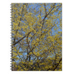 Cornelian Cherry Dogwood and Blue Sky Floral Notebook