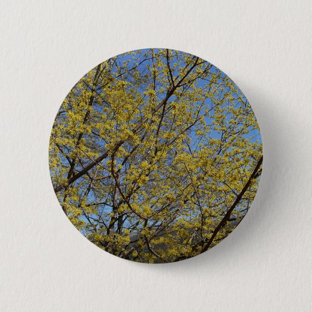 Cornelian Cherry Dogwood and Blue Sky Floral Pinback Button (Front)