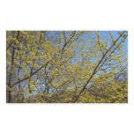 Cornelian Cherry Dogwood and Blue Sky Floral Rectangular Sticker