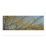 Cornelian Cherry Dogwood and Blue Sky Floral Rectangular Sticker