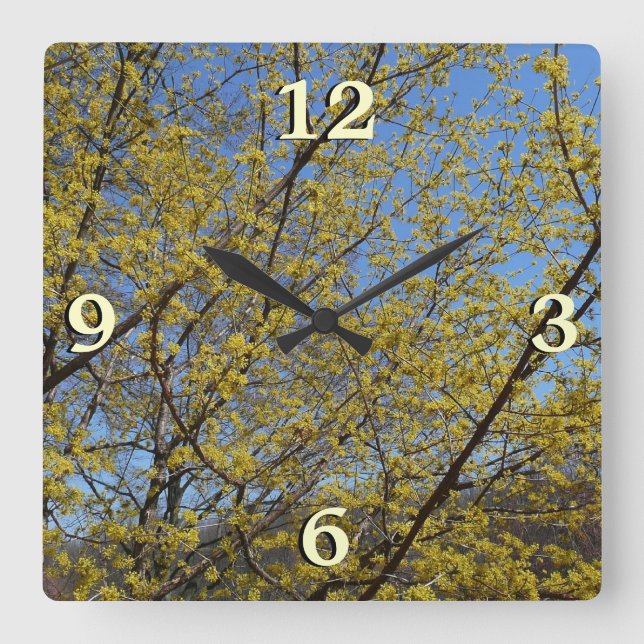 Cornelian Cherry Dogwood and Blue Sky Floral Square Wall Clock (Front)