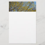 Cornelian Cherry Dogwood and Blue Sky Floral Stationery